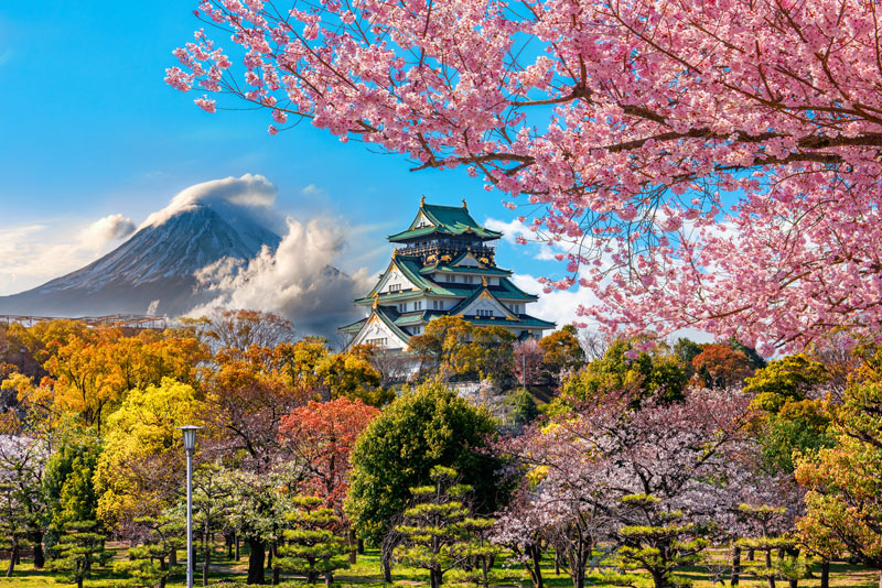 The Best Tokyo Vacations, Tailor-Made for You